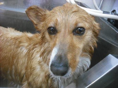 ファイル 3049-2.jpg