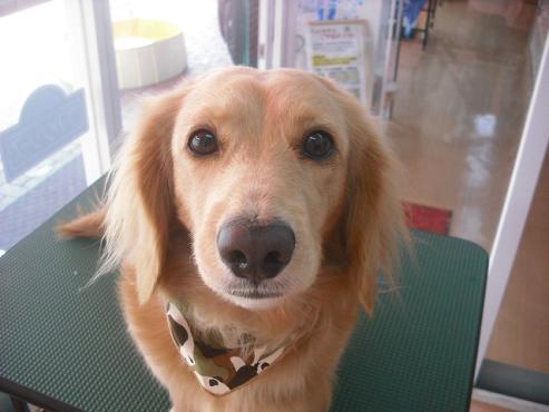 ファイル 305-1.jpg