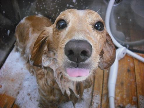 ファイル 305-2.jpg