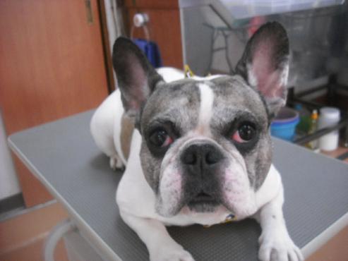 ファイル 3051-1.jpg