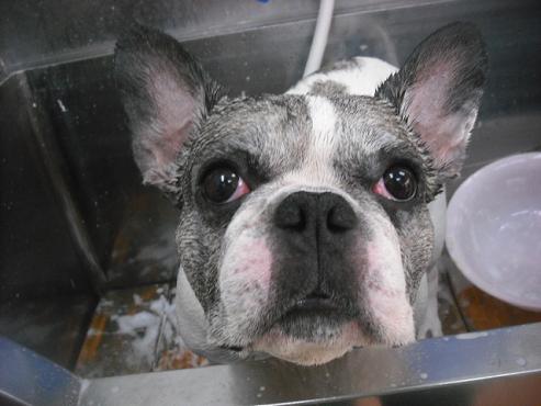 ファイル 3051-2.jpg