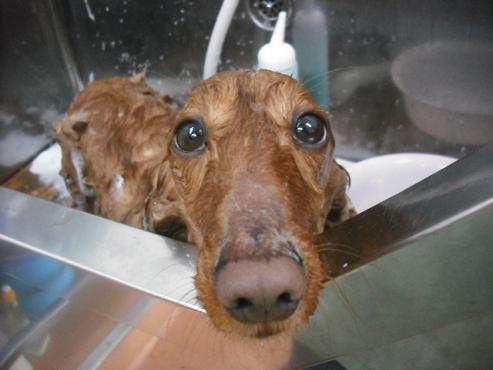 ファイル 3053-2.jpg