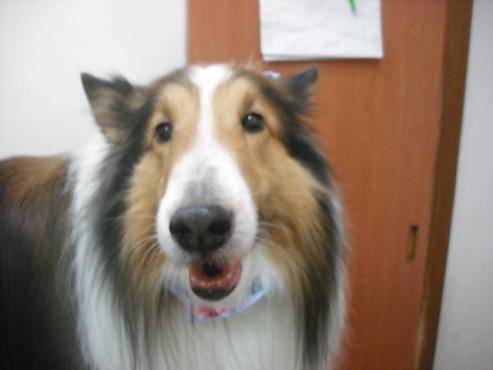 ファイル 3054-1.jpg