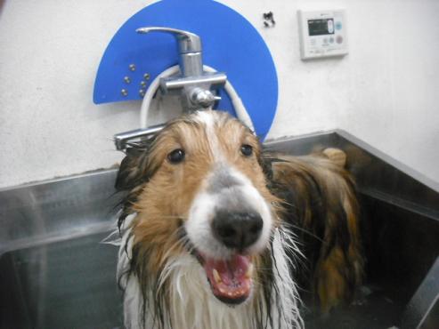 ファイル 3054-2.jpg