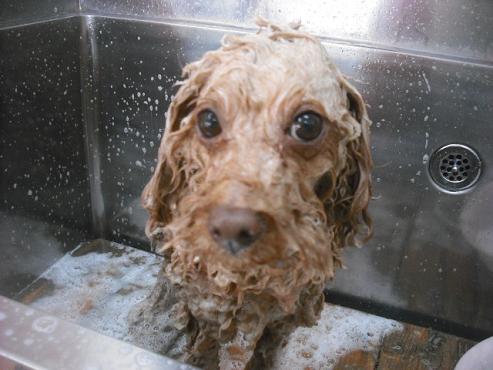 ファイル 3055-2.jpg