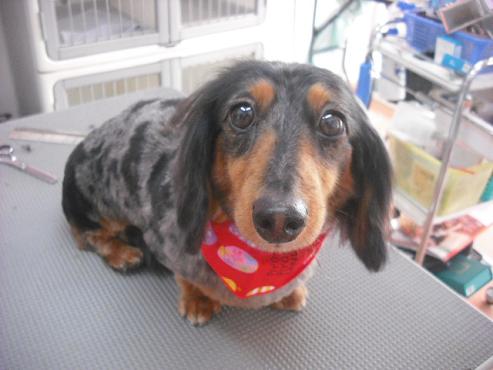 ファイル 306-1.jpg