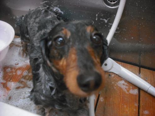 ファイル 306-2.jpg