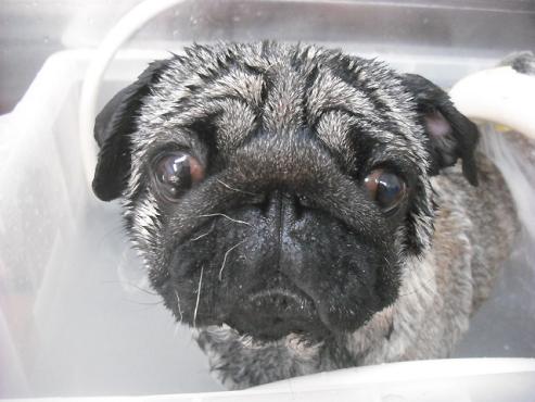 ファイル 3064-2.jpg