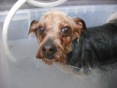 ファイル 3068-2.jpg