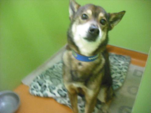 ファイル 3069-1.jpg