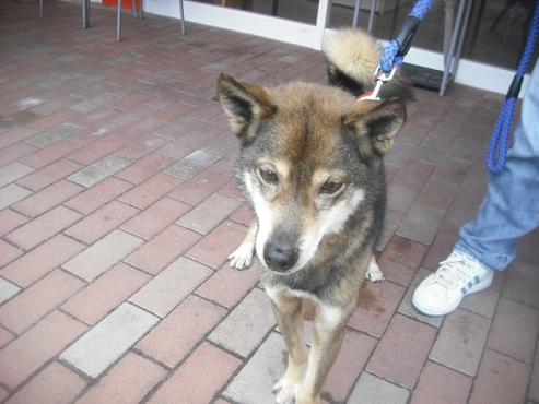 ファイル 3069-2.jpg