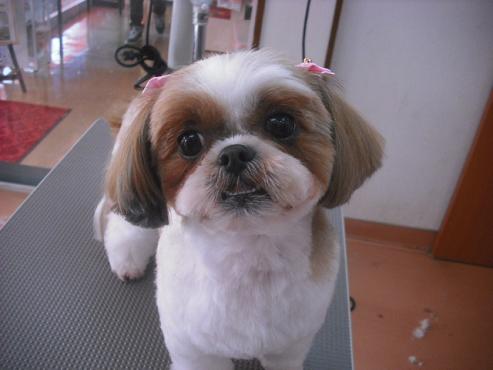 ファイル 307-1.jpg