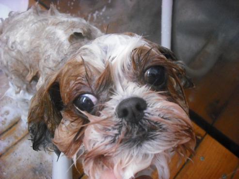 ファイル 307-2.jpg