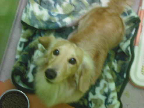 ファイル 3072-2.jpg