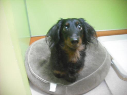 ファイル 3073-1.jpg