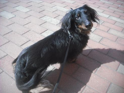 ファイル 3073-2.jpg