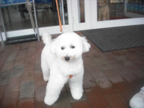 ファイル 3074-1.jpg