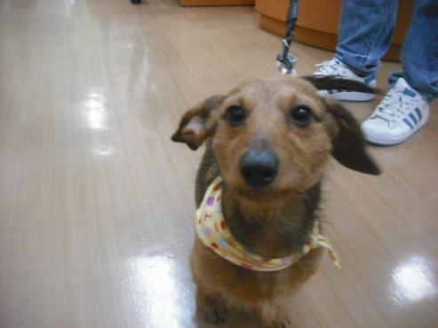 ファイル 3076-1.jpg