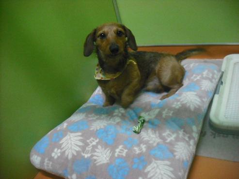 ファイル 3076-2.jpg