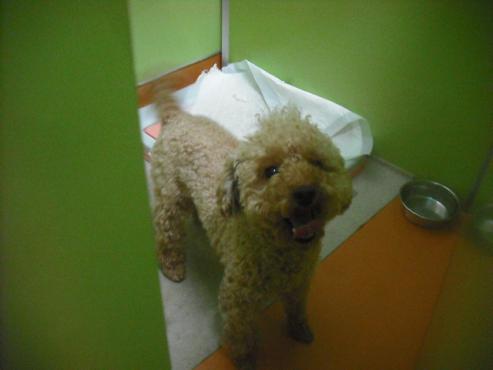 ファイル 3077-1.jpg