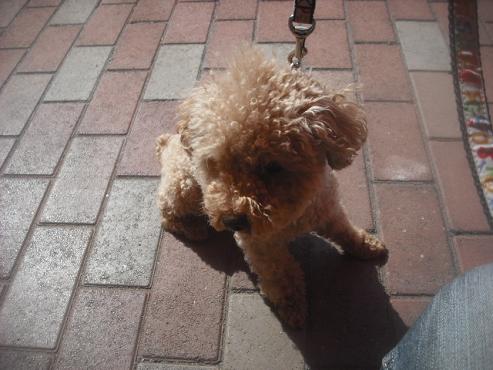 ファイル 3077-2.jpg