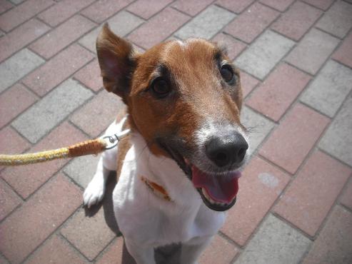 ファイル 3079-1.jpg