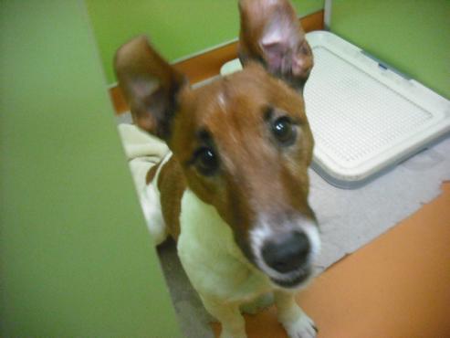 ファイル 3079-2.jpg