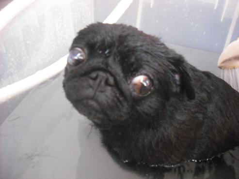 ファイル 308-2.jpg