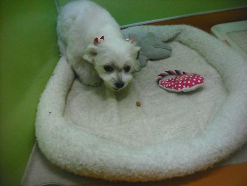 ファイル 3080-2.jpg