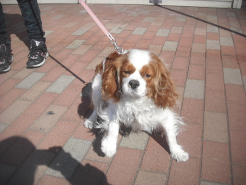 ファイル 3081-2.jpg