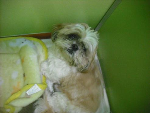 ファイル 3082-2.jpg