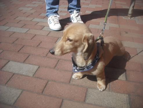 ファイル 3083-2.jpg