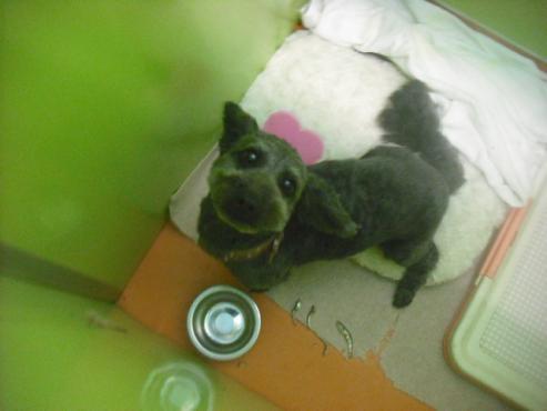 ファイル 3084-2.jpg