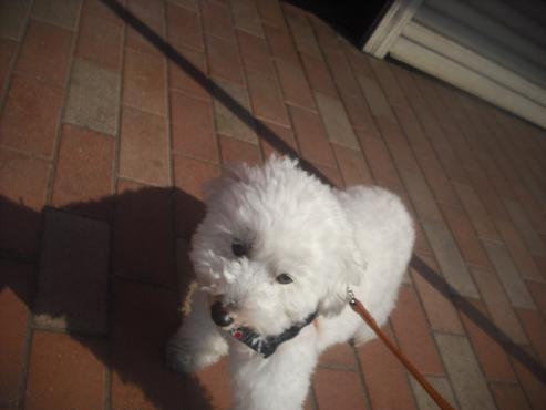 ファイル 3086-2.jpg