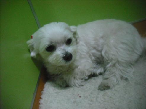 ファイル 3087-2.jpg