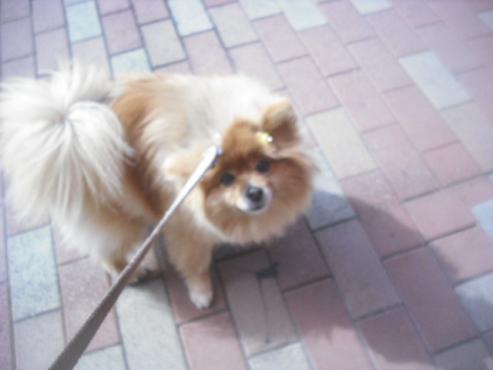 ファイル 3088-2.jpg