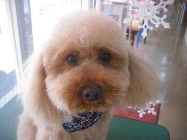 ファイル 3089-1.jpg