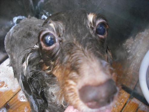 ファイル 309-3.jpg