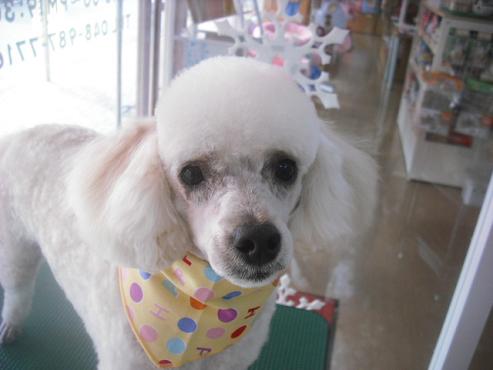 ファイル 3090-1.jpg