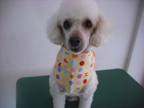 ファイル 3091-1.jpg