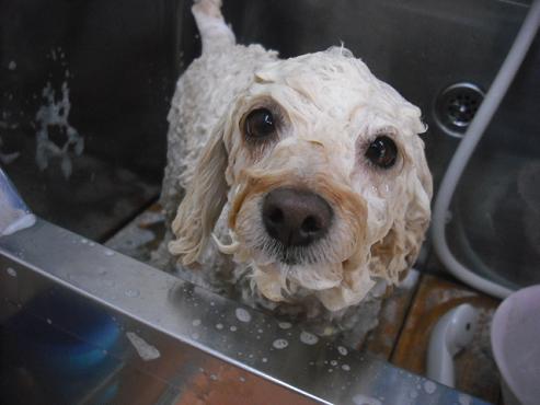 ファイル 3091-2.jpg