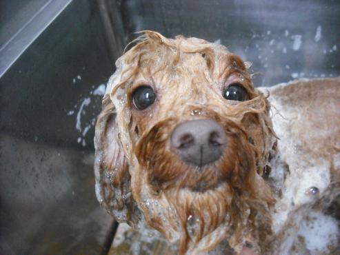 ファイル 3092-2.jpg