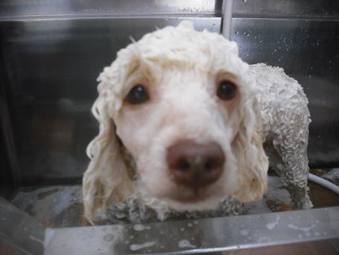 ファイル 3094-2.jpg