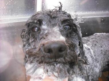 ファイル 3095-2.jpg