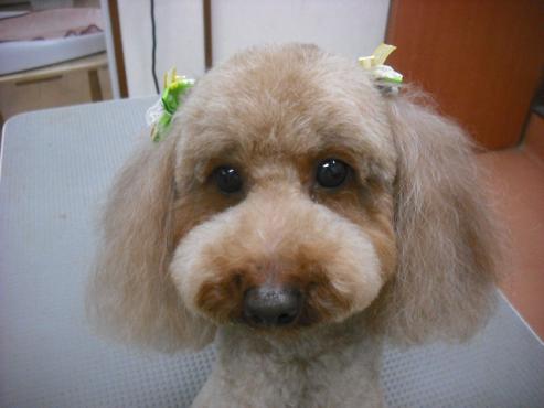 ファイル 3097-2.jpg