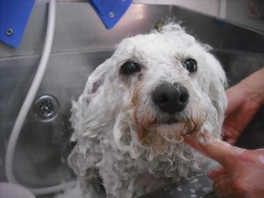 ファイル 3098-1.jpg