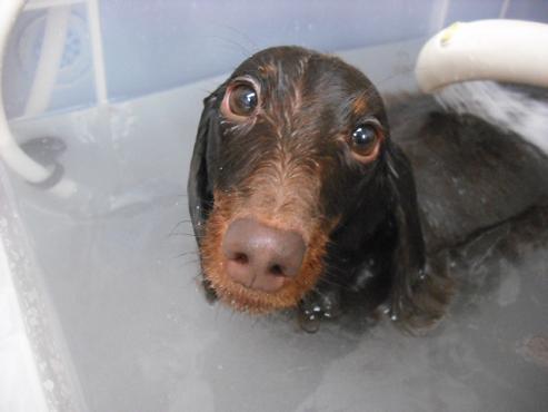 ファイル 31-2.jpg