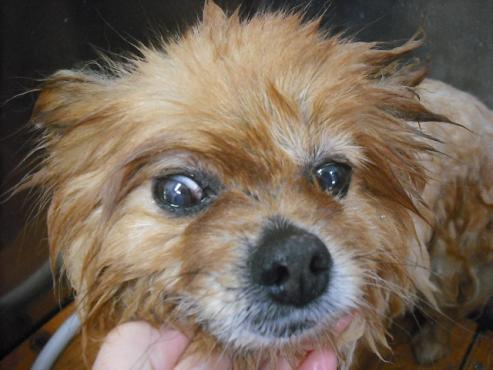 ファイル 310-3.jpg