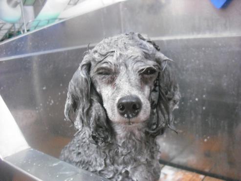 ファイル 3101-2.jpg