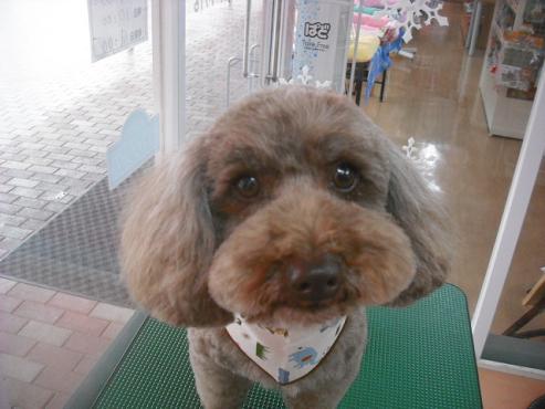 ファイル 3102-1.jpg